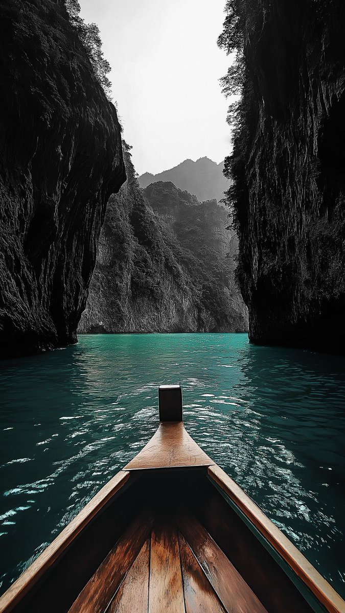 目前已发布且跟RWA概念相关的项目：

①优先级最高： $ONDO $INJ $PLUME $POLYX 

$ONDO 可以称之为传统金融赛道的龙头，是一个去中心化的金融平台，背靠贝莱德等传统金融机构，最近生态合作也比较频繁，且合规进度领先于其他项目，很有可能成为RWA的龙头。

目前 $ONDO