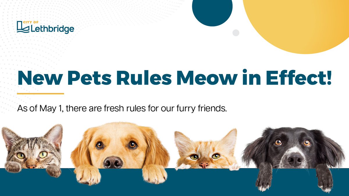 🐾 BREAKING MEWS! 🐾 

The City's new Animal Care and Control Bylaw is here!

Fewer rules from the Stone Age... more clarity for your fur-babies.

Long story short: it’s pawsitively modern!

More 👉 lethbridge.ca/news/posts/new…

#yql