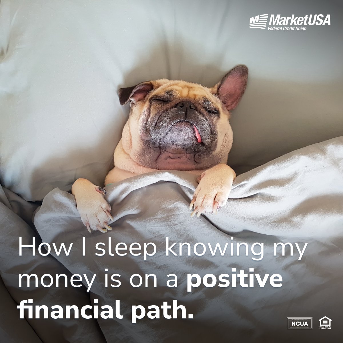 Get the best of both worlds with higher earnings and no lengthy commitments.

marketusafcu.com/Accounts/Money…

#moneymarket #savings #highinterest