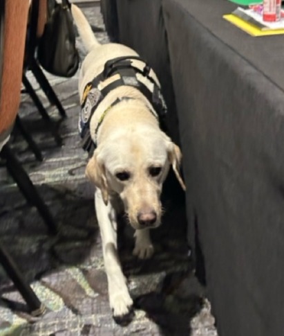 HSI_Dallas's tweet image. Empowering communities to combat child exploitation with @Know2protect at the Gathering of Native Americans and Gathering of Alaskan Natives in Minneapolis.  Roscoe and HSI  Tulsa sharing essential tools and resources. Together, we are making a difference!