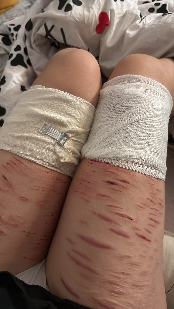 🦭 (@sealhgxhx) on Twitter photo 