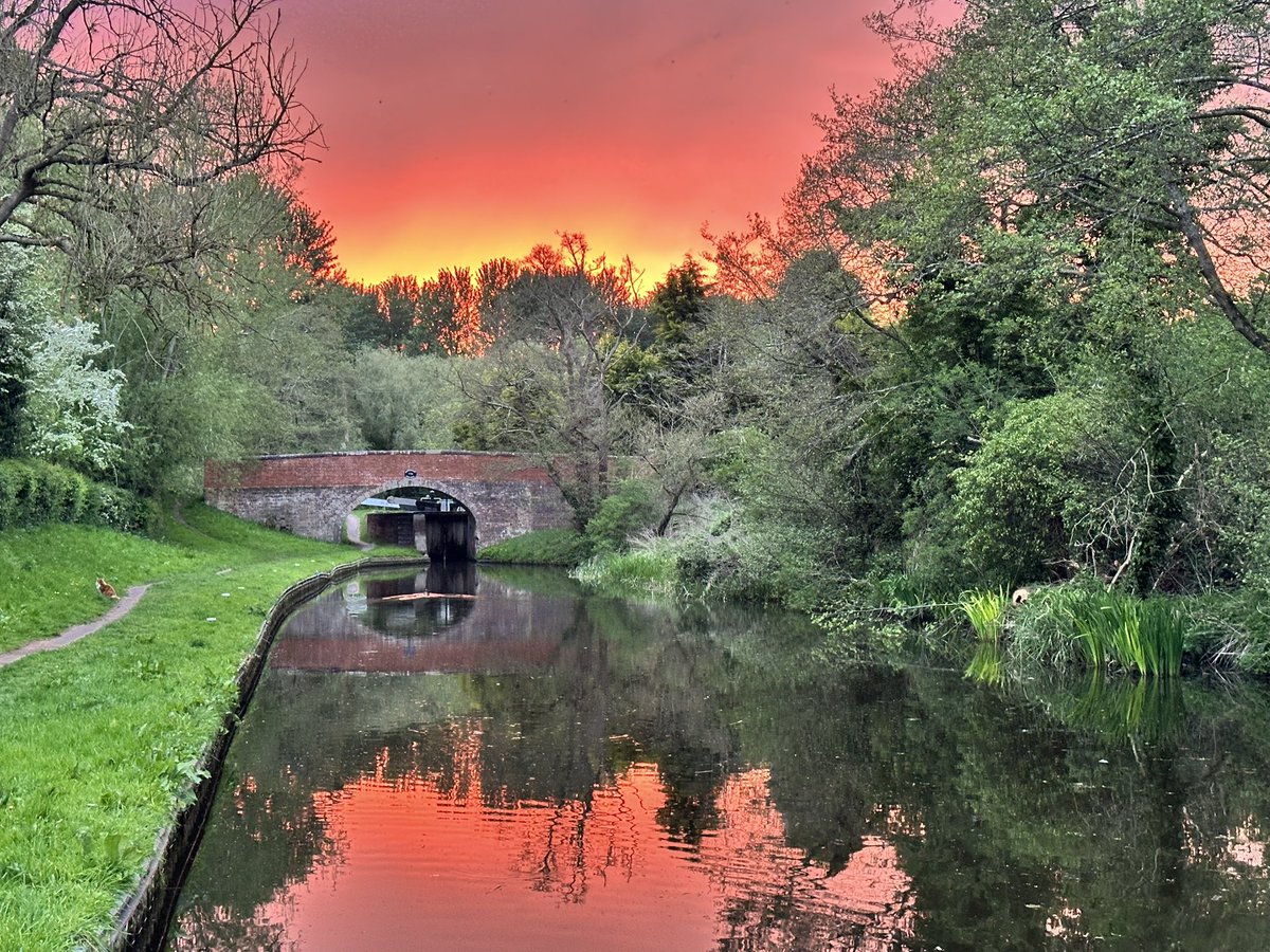 It’s been a gorgeous week here aboard River Phantom. Such a beautiful spot on the canal network. The weather has been lovely- I’ve been getting up early to see the morning mist on the water and doing some of my freelance writing and then every afternoon has been spent sitting