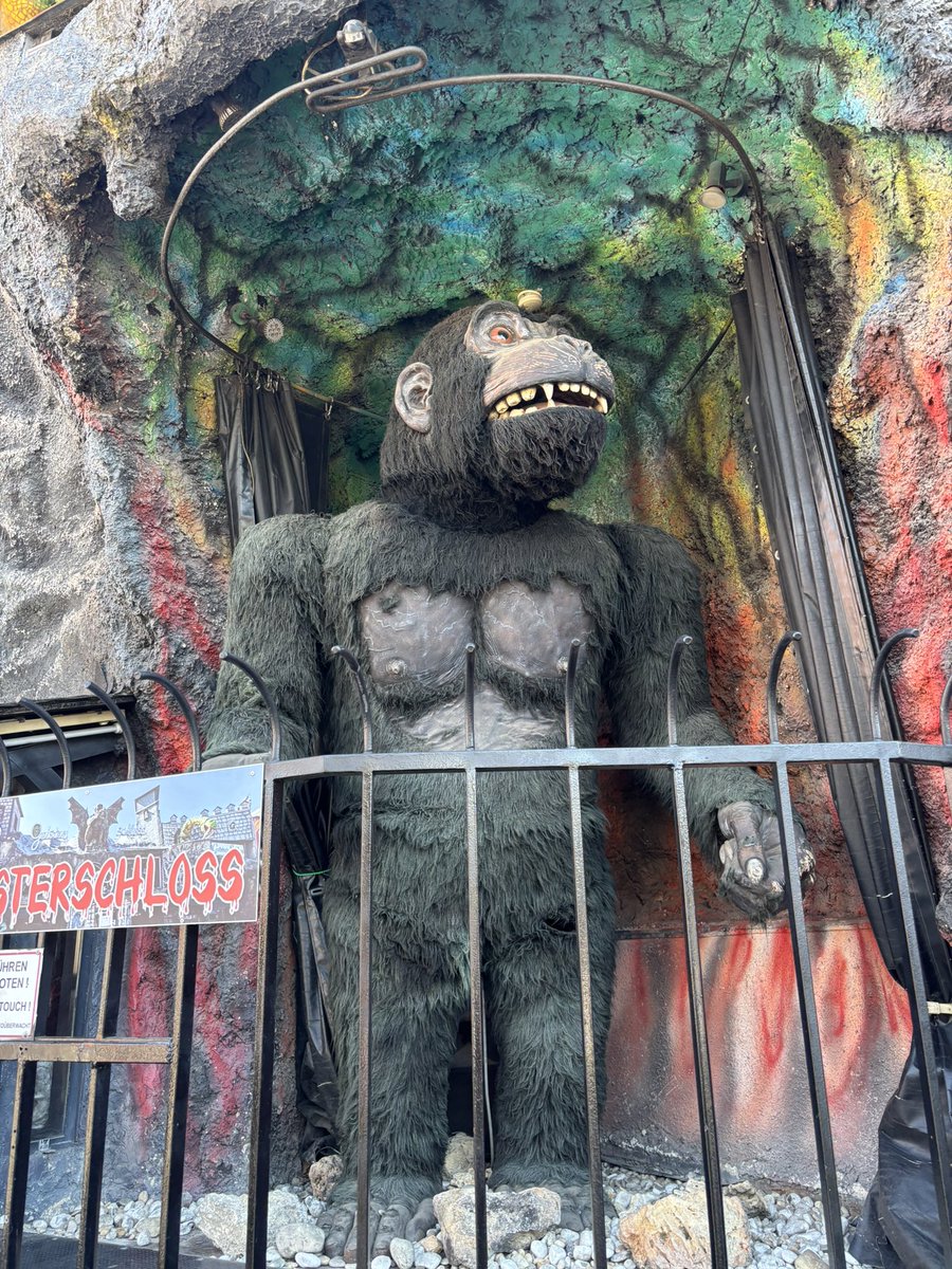 grace☆ tweet media