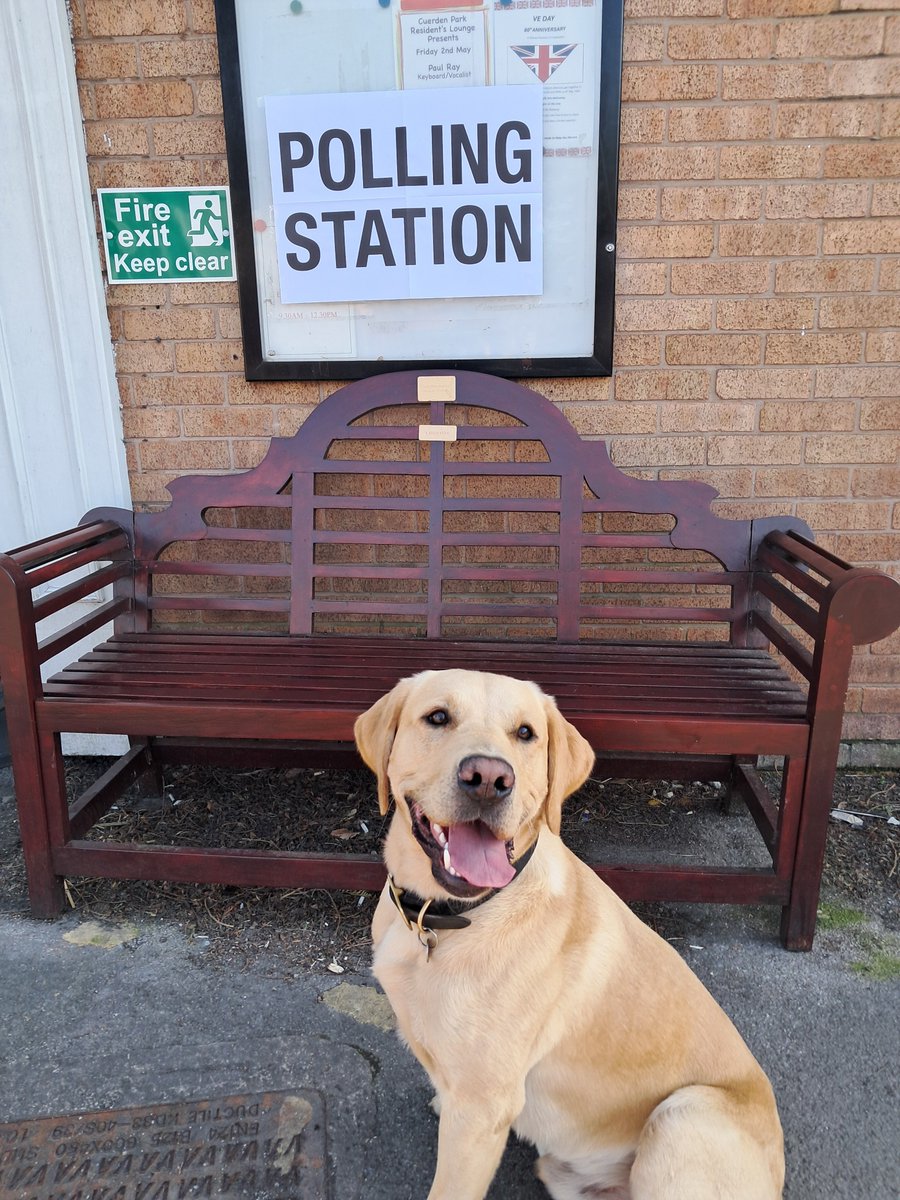 monkmakes's tweet image. We exercised our constitutional rights and so did the dog - extra walk because its sunny!! 😂 Have you used your vote today?