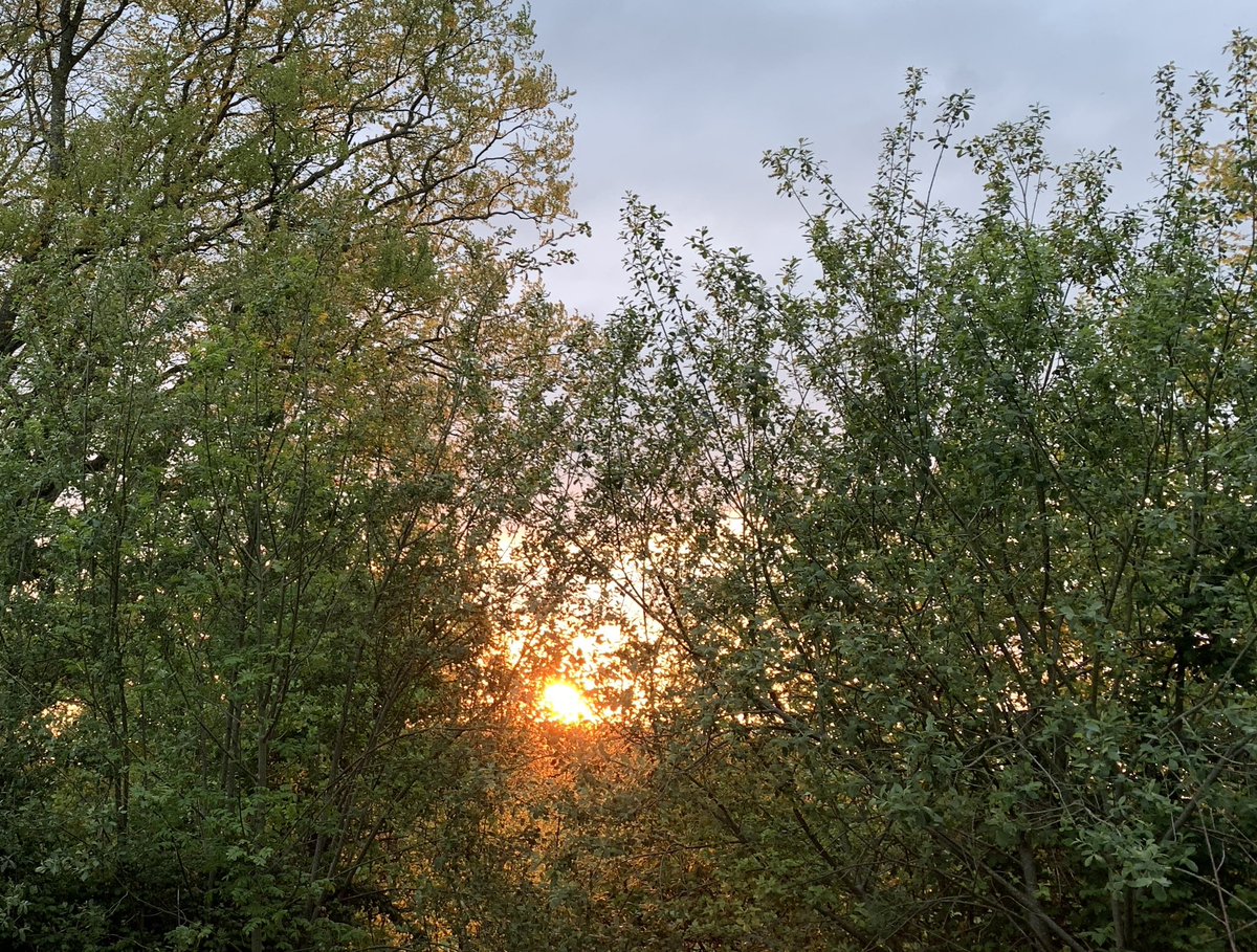Setting sun