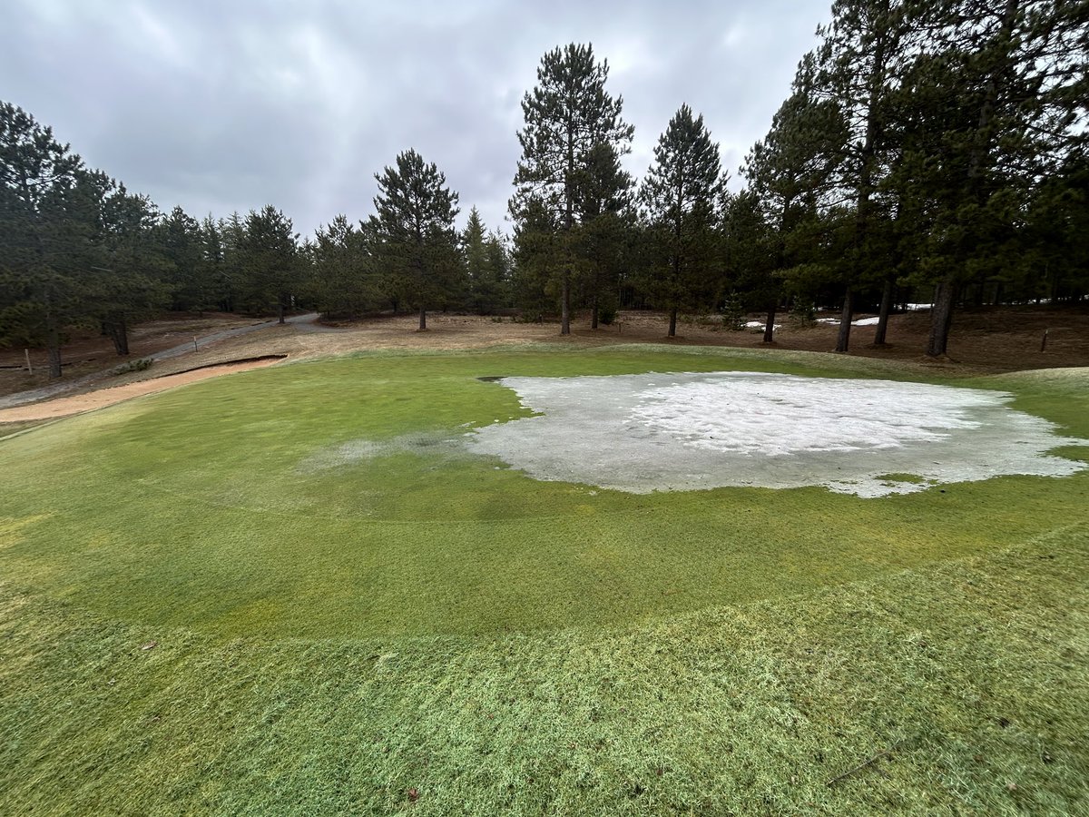 I should’ve cleared 15 green off sooner. Looked better before the grass broke dormancy. #winterturf (where was I all winter with this killer content eh?)