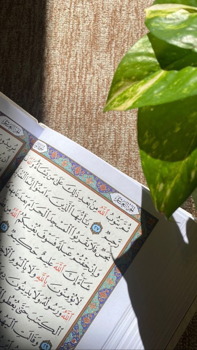 اذهب إلىٰ اللّٰه بضعفك يأتيك بقوته