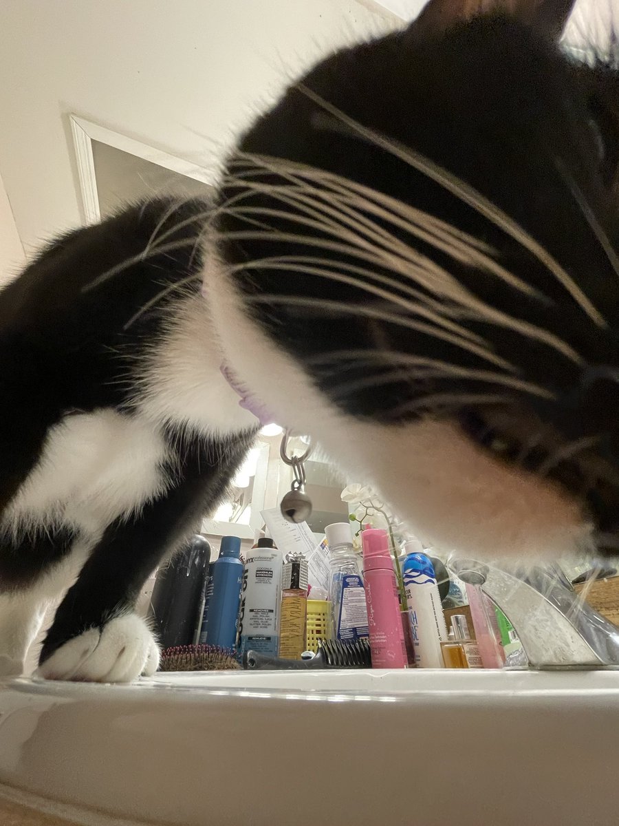 itzmefig's tweet image. bo o ! !

did Me Fig scares yuo?