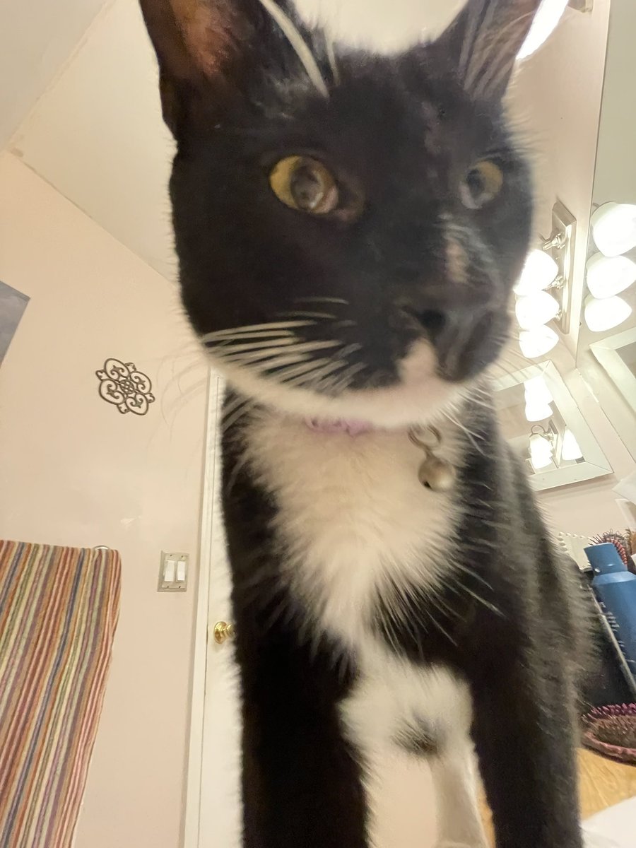 itzmefig's tweet image. bo o ! !

did Me Fig scares yuo?