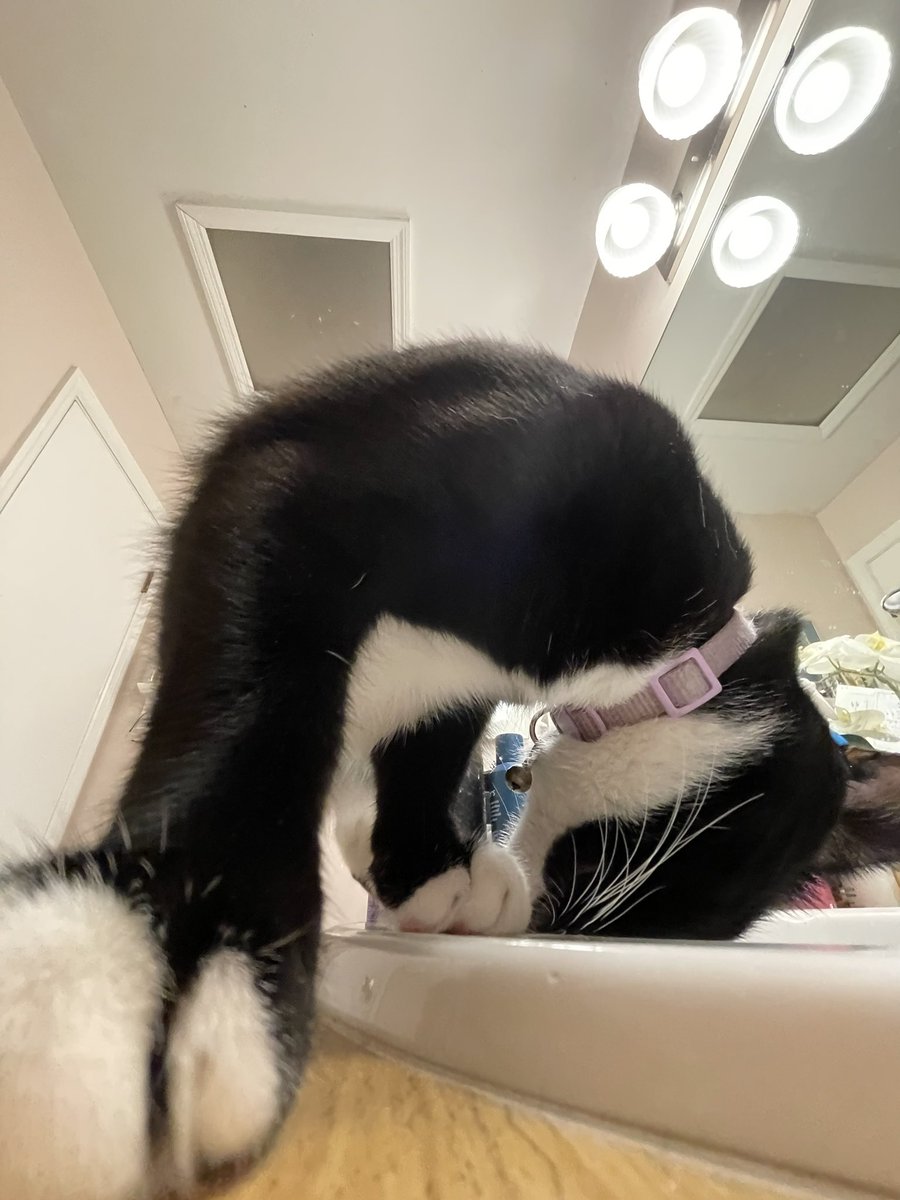 itzmefig's tweet image. bo o ! !

did Me Fig scares yuo?