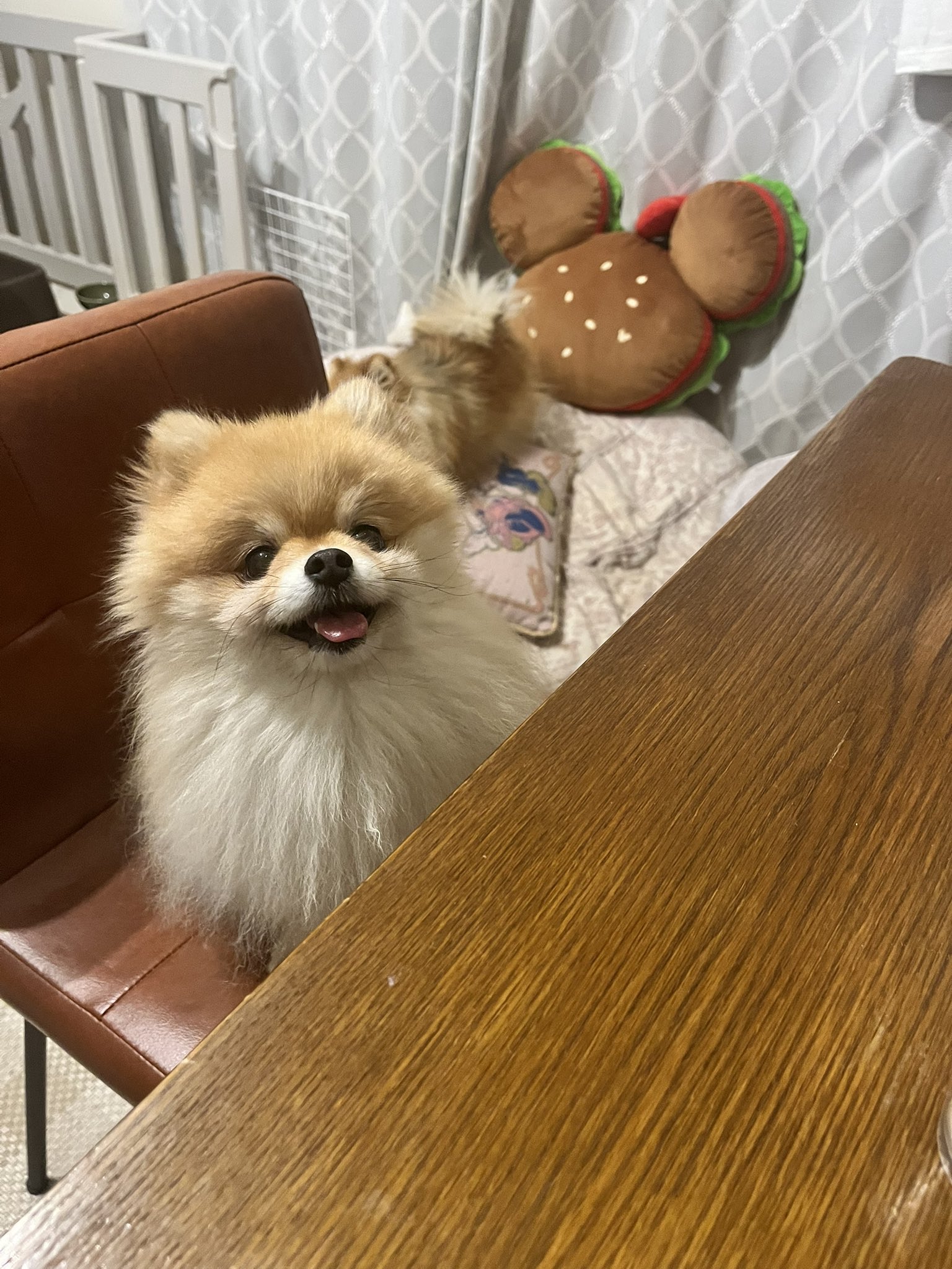 2枚。Nao様専用♥みかん❤超暖か☆Wボア♥超特大ブランケット