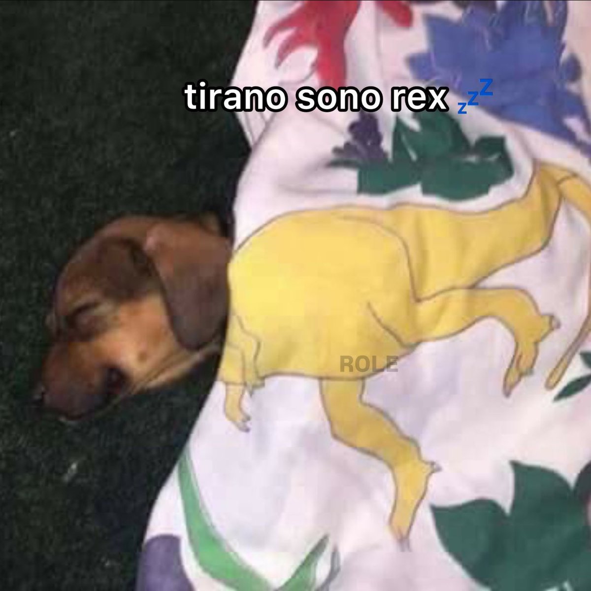 rolealeatorio's tweet photo. https://t.co/kYAG4M2hl8