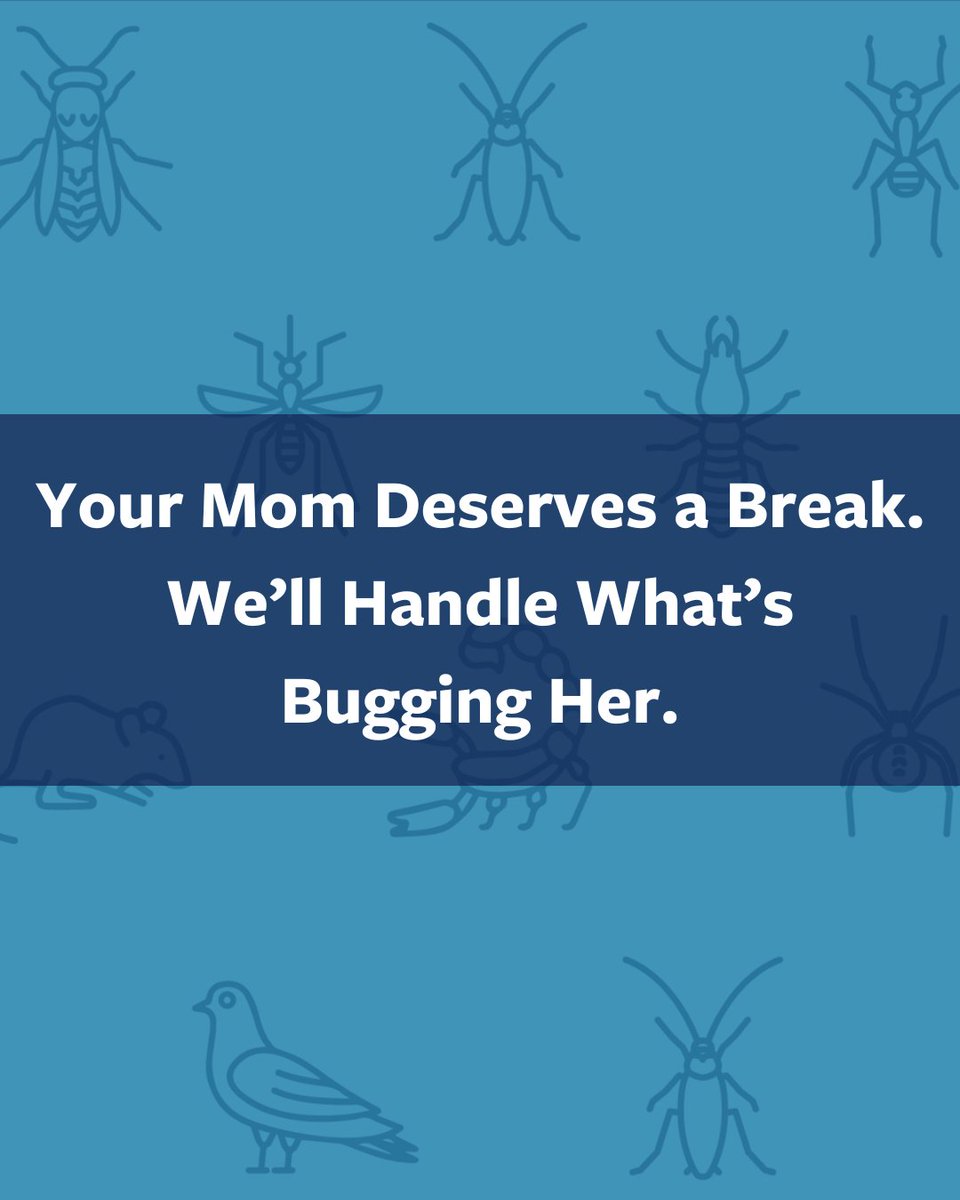 PhxPestControl's tweet image. This Mother’s Day, give her peace of mind (and a pest-free home)! 🐜🐝 From ants to wasps, we’ve got it handled. Schedule her free inspection today!

#MothersDay #ChampionsAgainstPests #VarsityPestControl #AZHomes #PestControlPros #HomeDefense