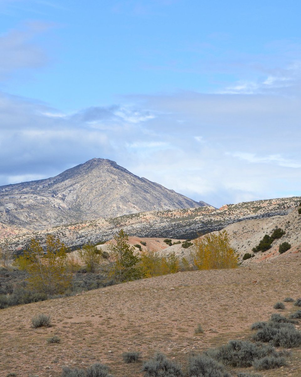 Travel Wyoming tweet media