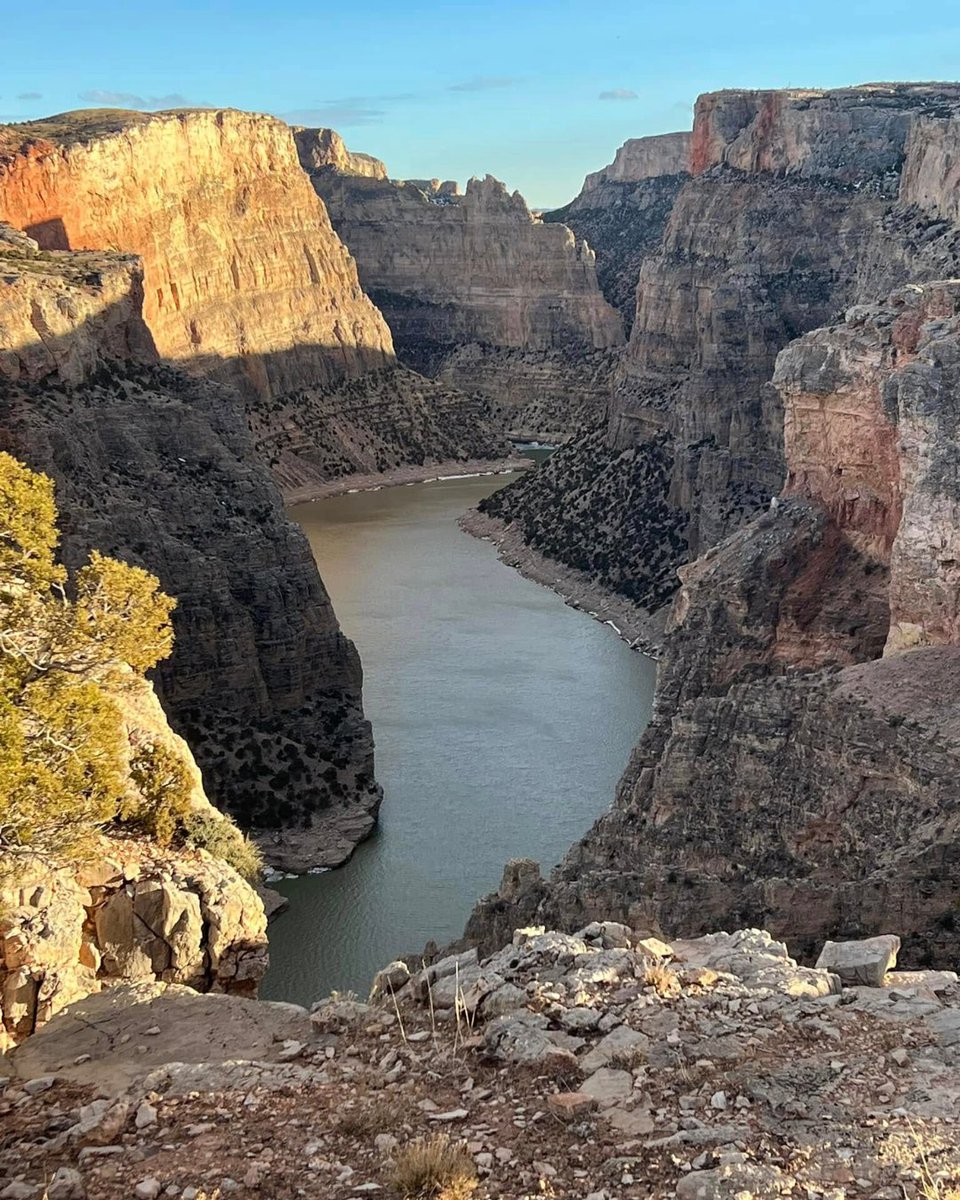 Travel Wyoming tweet media