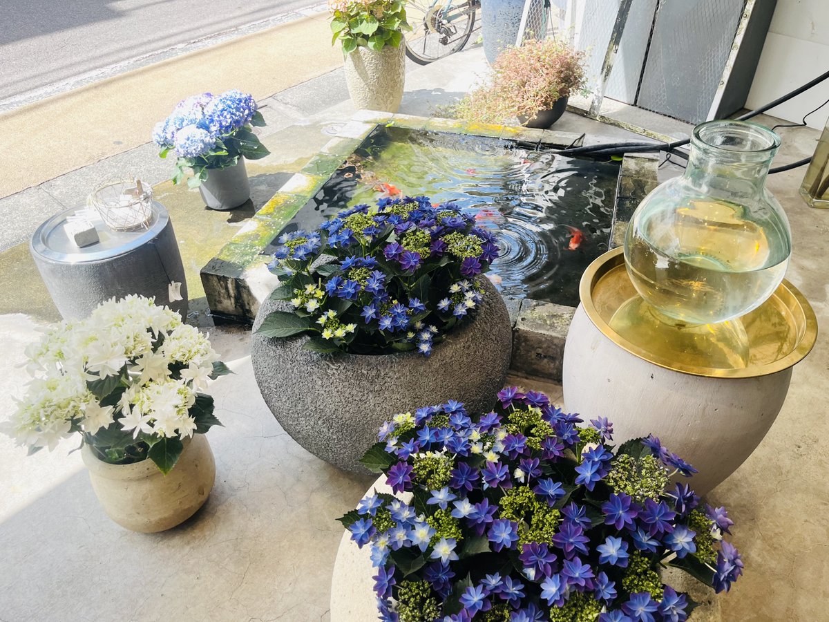 学芸大学西口商店街』最終日💨 昨日は、お洒落な花屋さん「花善」さん