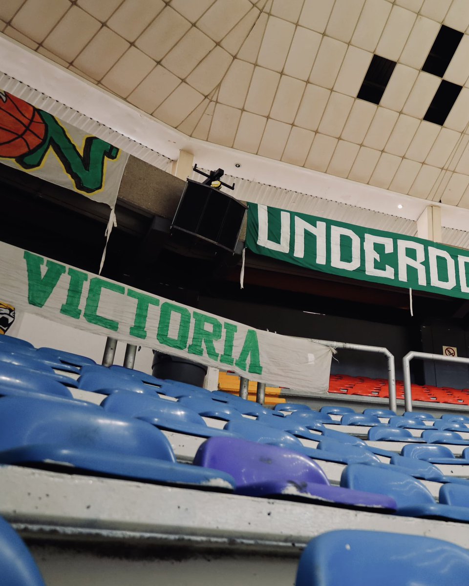 Afición + Equipo 🇳🇬💚