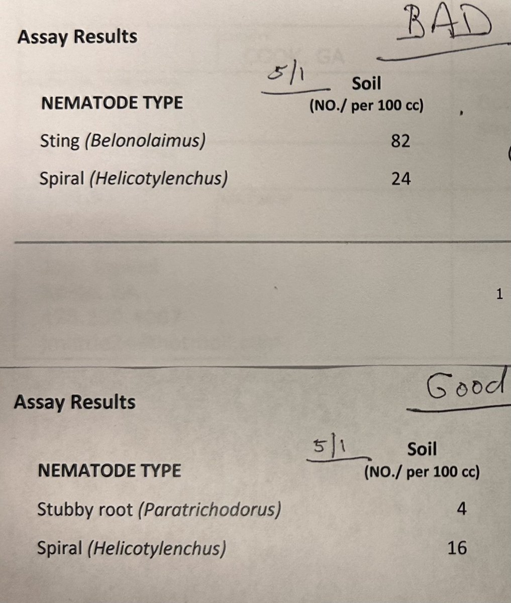 bobkemerait's tweet image. Pictures coming in every day from county agents and crop consultants. Poor, patchy growth in some fields of corn. More often than not, stubby-root and sometimes sting nematodes are the villains. Pictures here from Bleckley and Cook Counties. UGA Extension