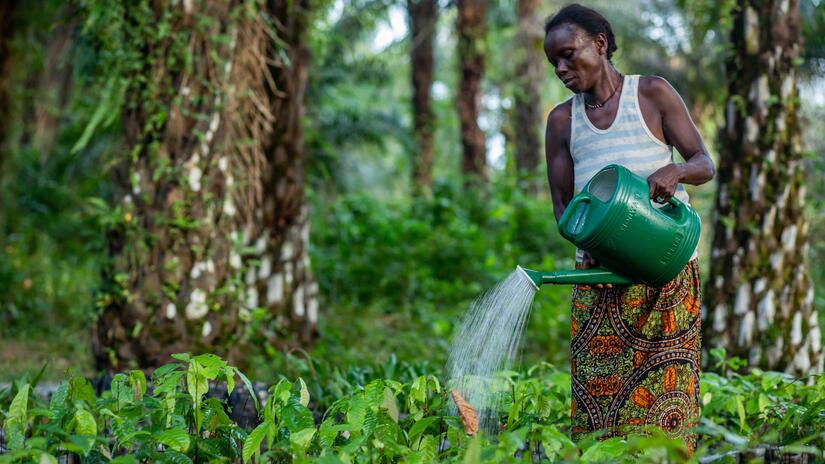 Nan jounen fèt agrikilti ak travay la, #SEMIEL salye tout travayè-èz nan peyi a, an patikilye nan Konsèy Elektoral la, pandan n ap kontinye goumen pou nou jwenn plis akonpanyeman sosyal pou yon sosyete san fòs kote.