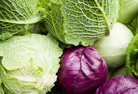 KristenJakobitz's tweet image. #Cabbage can be beneficial for hormonal balance, particularly in supporting #estrogen metabolism. It&apos;s a cruciferous vegetable, rich in indole-3-carbinol, which promotes healthy estrogen #metabolism, helping to remove excess hormones from the body. 

Additionally, cruciferous…