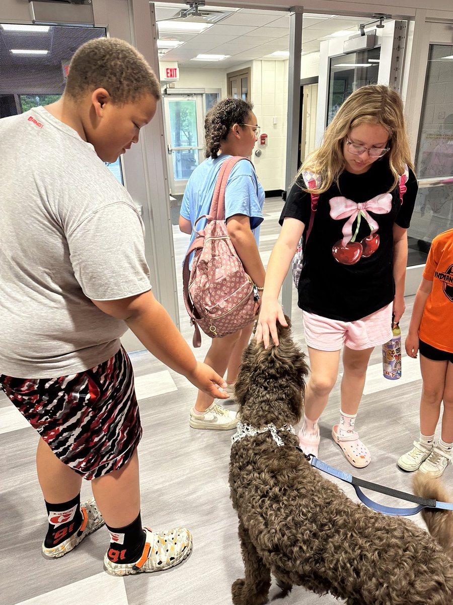 It’s amazing the impact Baxter has on students and staff, helping everyone start the day with positivity and joy. Therapy dogs like Baxter reduce stress, boost mood, and create a welcoming, supportive environment for all. We’re so lucky to have him as part of our school family!