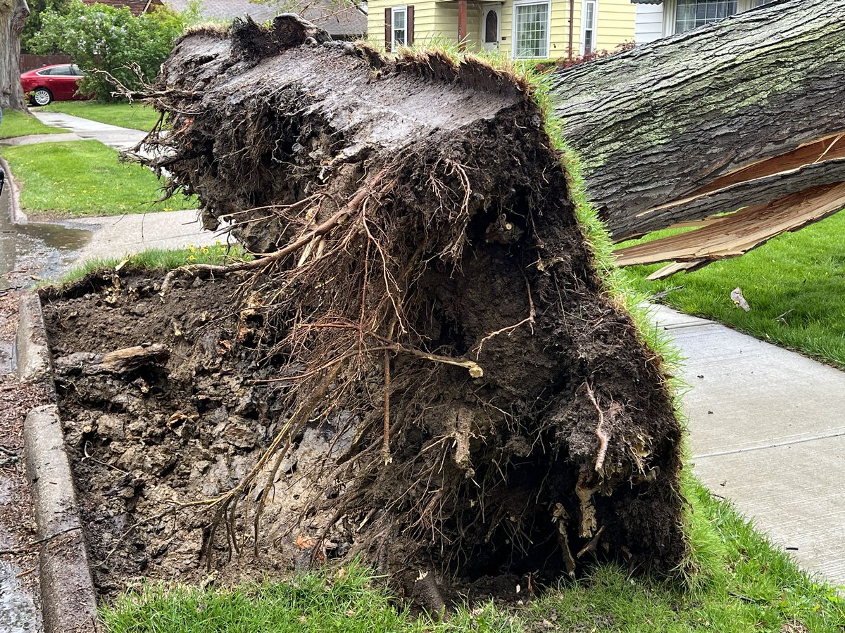 ClevelandFire (@clevelandfire) on Twitter photo #CLEFIREONSCENE Large Tree onto occupied house on W.173 south of Milburn in B3. Nobody home at time of incident. Ladder 39 and Engine 43 cut branches so neighbor could remove damaged vehicle. Beware of wind storms this spring. #CLEFIREONSCENE Large Tree onto occupied house on W.173 south of Milburn in B3. Nobody home at time of incident. Ladder 39 and Engine 43 cut branches so neighbor could remove damaged vehicle. Beware of wind storms this spring.