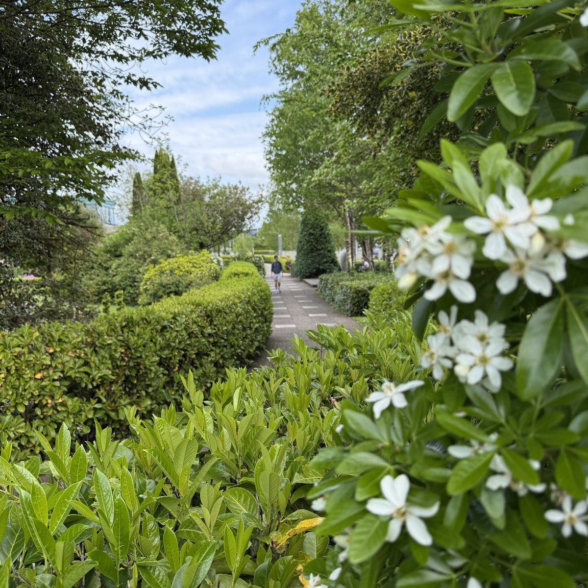 Summer evenings on campus &gt;&gt;&gt;&gt;

📍President's Garden