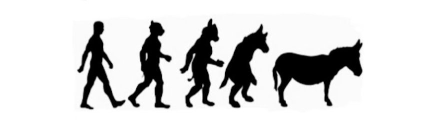 اسامه احمد (@yuyu035786272) on Twitter photo 