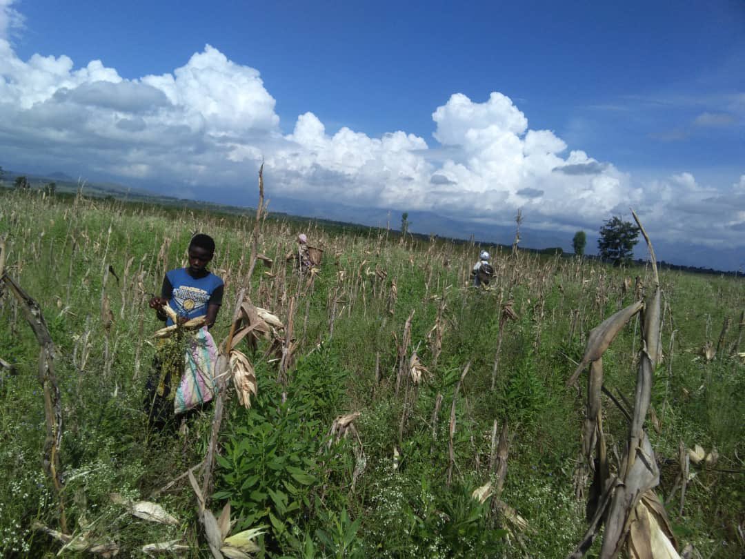 Tomorrow Sarl tweet media