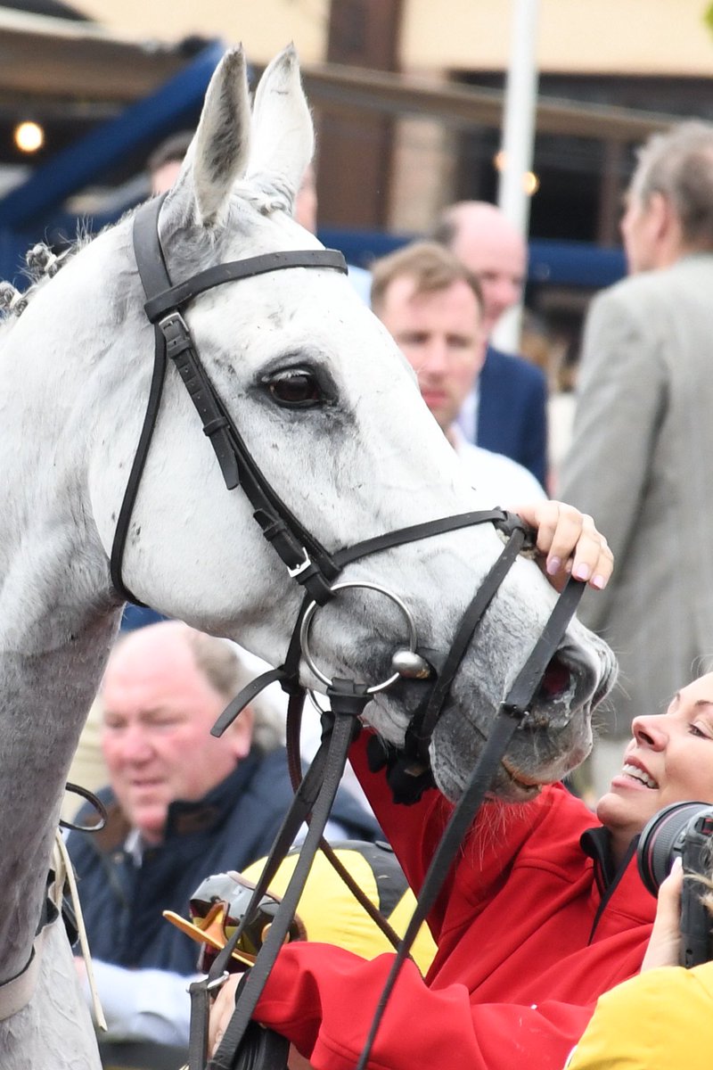 Happy Retirement to Asterion Forlonge