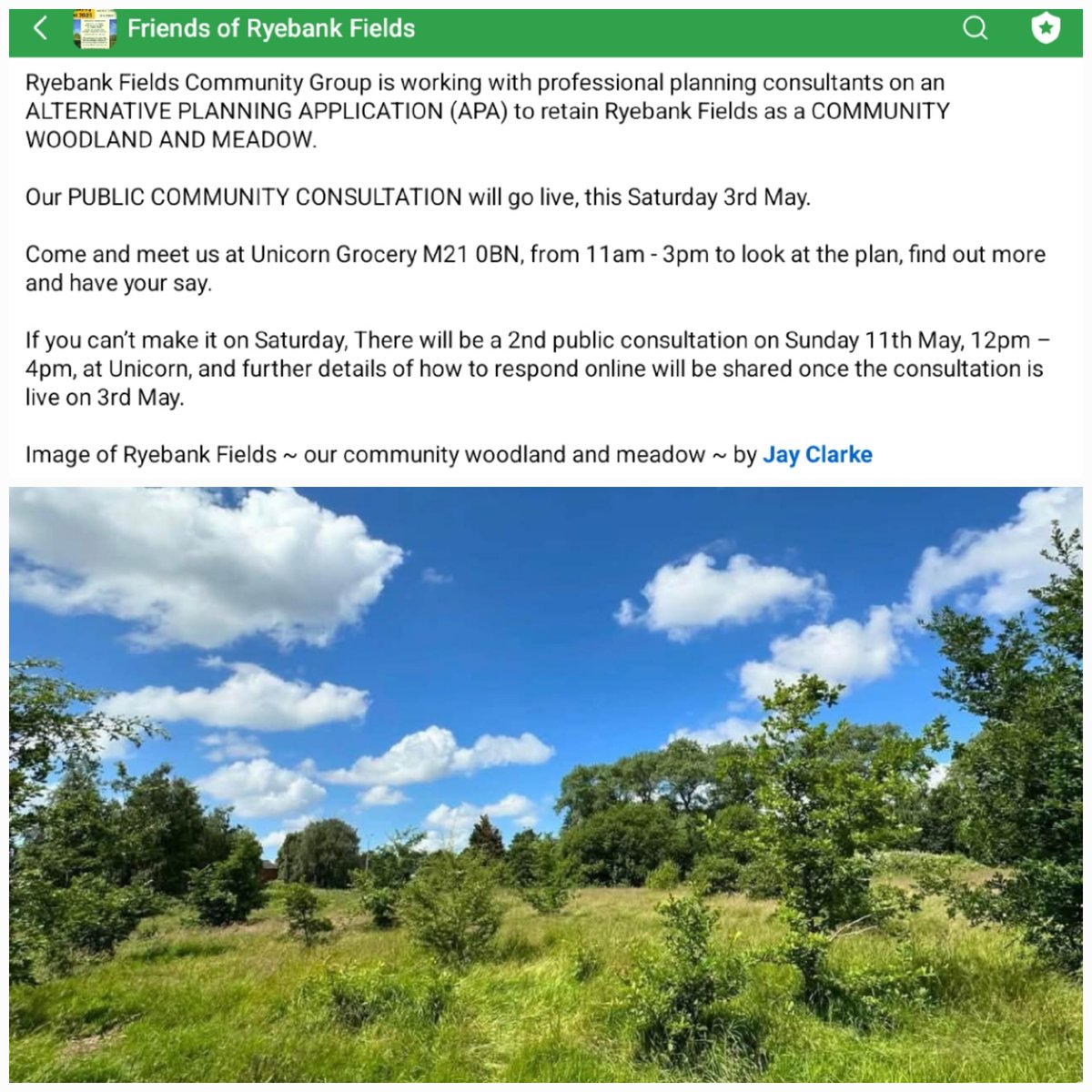 Ryebank Fields Community Group is working with professional planning consultants on an ALTERNATIVE PLANNING APPLICATION (APA) to retain Ryebank Fields as a COMMUNITY WOODLAND AND MEADOW.
Our PUBLIC COMMUNITY CONSULTATION will go live, this Saturday 3rd May.