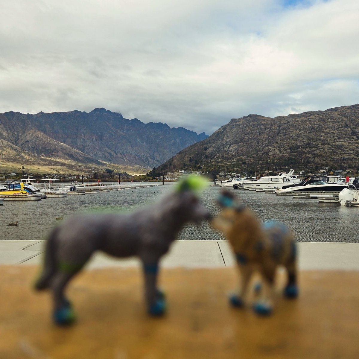 Now KITH! 💋 

~Queenstown NZ~