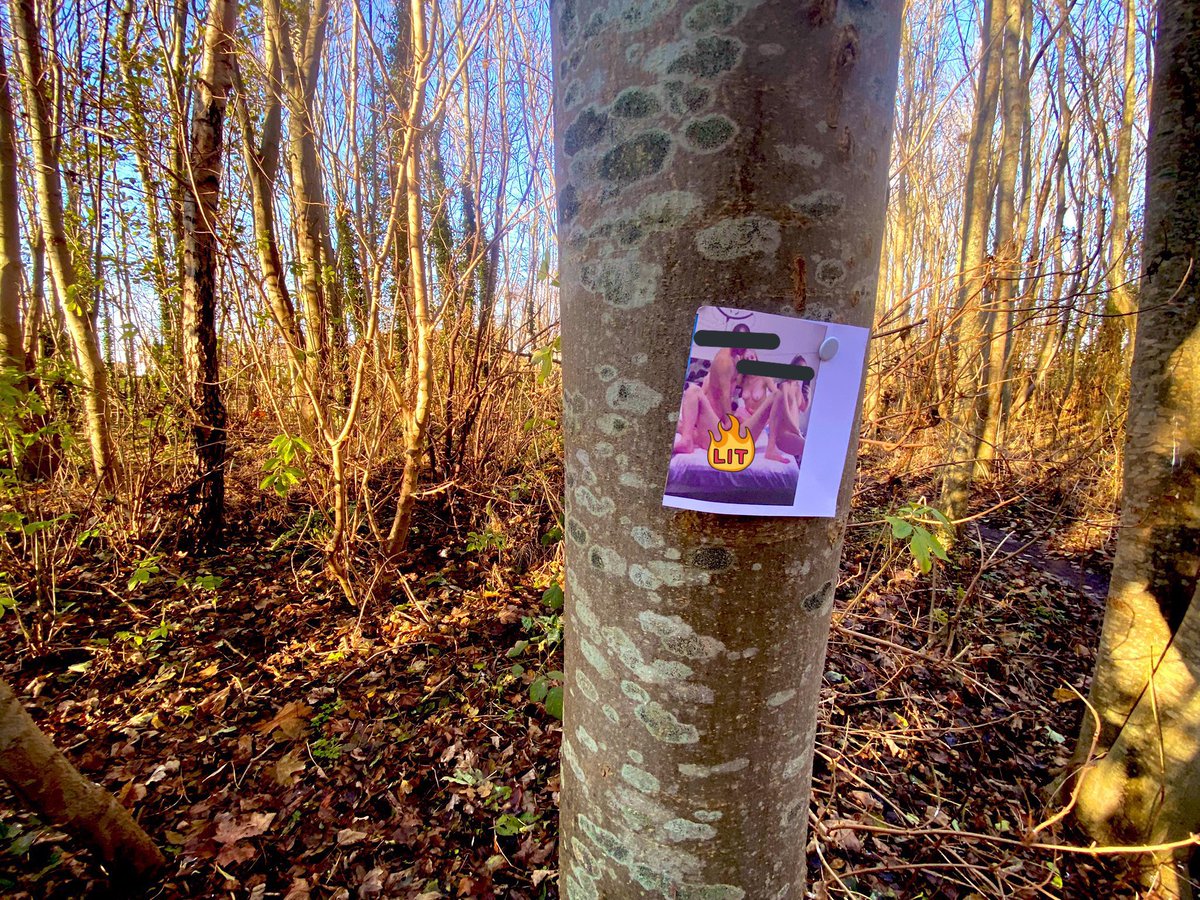 alberto23886098's tweet photo. Going back to the forrest  Wanne have your girl hanging in a forrest ? Dm me !  +18 only! #cumtribute #cocktribute  #cum #porn #nudes #horny #cumslut #butt #tits #booty #fuck #pussy  #bigtits #cocktribute #sellingn #freenudes #sexy #slut #ass #panties #follow #sex #dick  #cuckol https://t.co/Xc9pJZWGMG