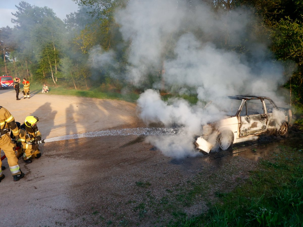 Auto uitgebrand in bosgebied