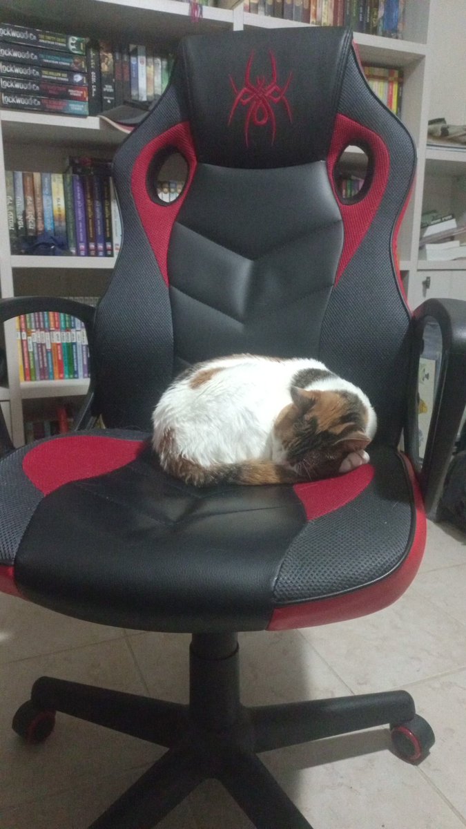 OwoGeneric's tweet photo. @oreoeocat @lipgodllagher My stupid baby has stolen my chair again https://t.co/XtZ2niKyLg