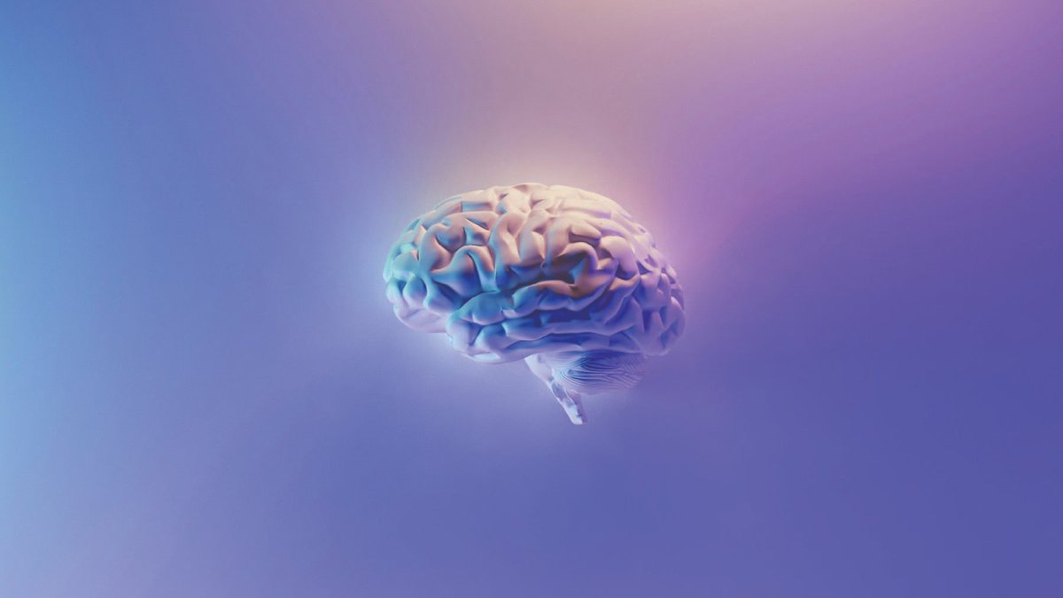 SFU Gerontology (@sfugero) on Twitter photo .<a href="/SFU/">Simon Fraser University</a> researchers are advancing brain health in aging Canadians in a new CLSA-Weston Healthy Brain, Healthy Aging study. Which will provide insight on the neural and biological factors that contribute to brain resilience from mid to late life.
Read more: sfu.ca/grc/stories/bl⌠.<a href="/SFU/">Simon Fraser University</a> researchers are advancing brain health in aging Canadians in a new CLSA-Weston Healthy Brain, Healthy Aging study. Which will provide insight on the neural and biological factors that contribute to brain resilience from mid to late life.
Read more: sfu.ca/grc/stories/blâŚ