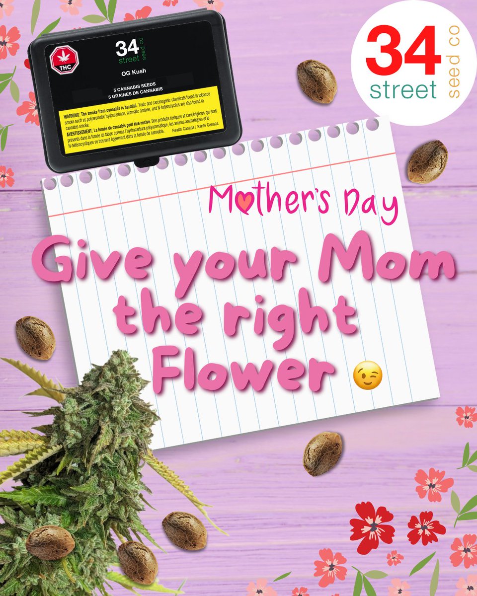 She gave you life, now give her seeds.
Thanks, Mom… let’s grow something special. 

#34StreetSeedCo #MaryJane #Cannabis #Smoke #GrowYourOwn #Flower #CannabisCommunity #THC #ᴄᴀɴɴᴀʙɪsᴄᴜʟᴛᴜʀᴇ #34streetseed #HighTimes #MothersDay