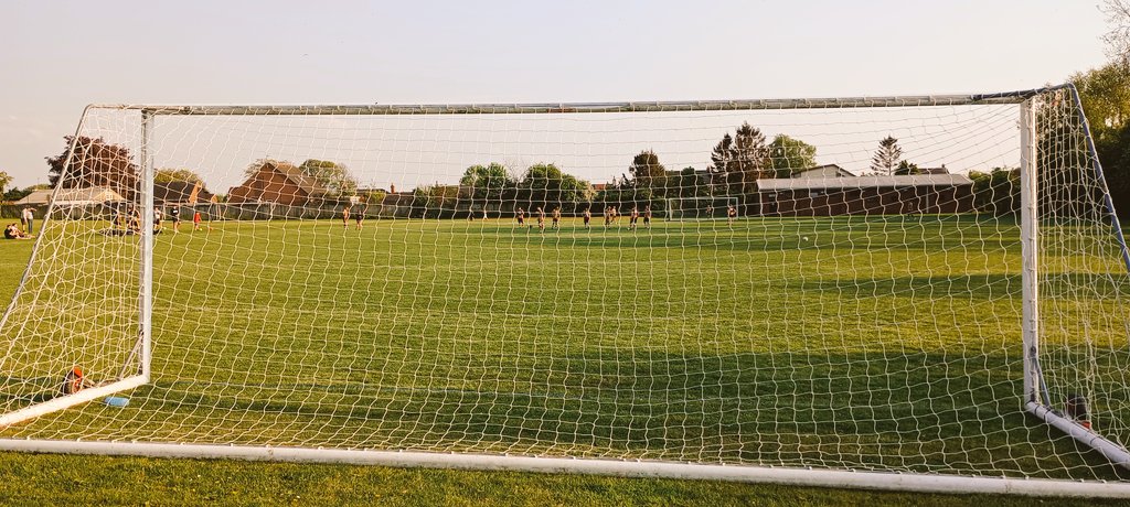 yorkshiregroundhopper tweet media