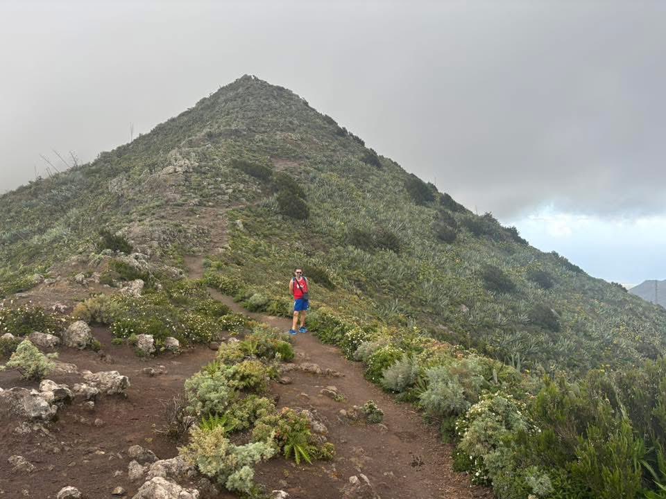 Type1Bri tweet media