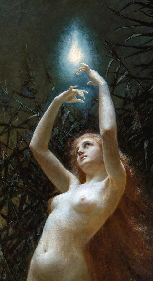 solisolsoli's tweet image. 