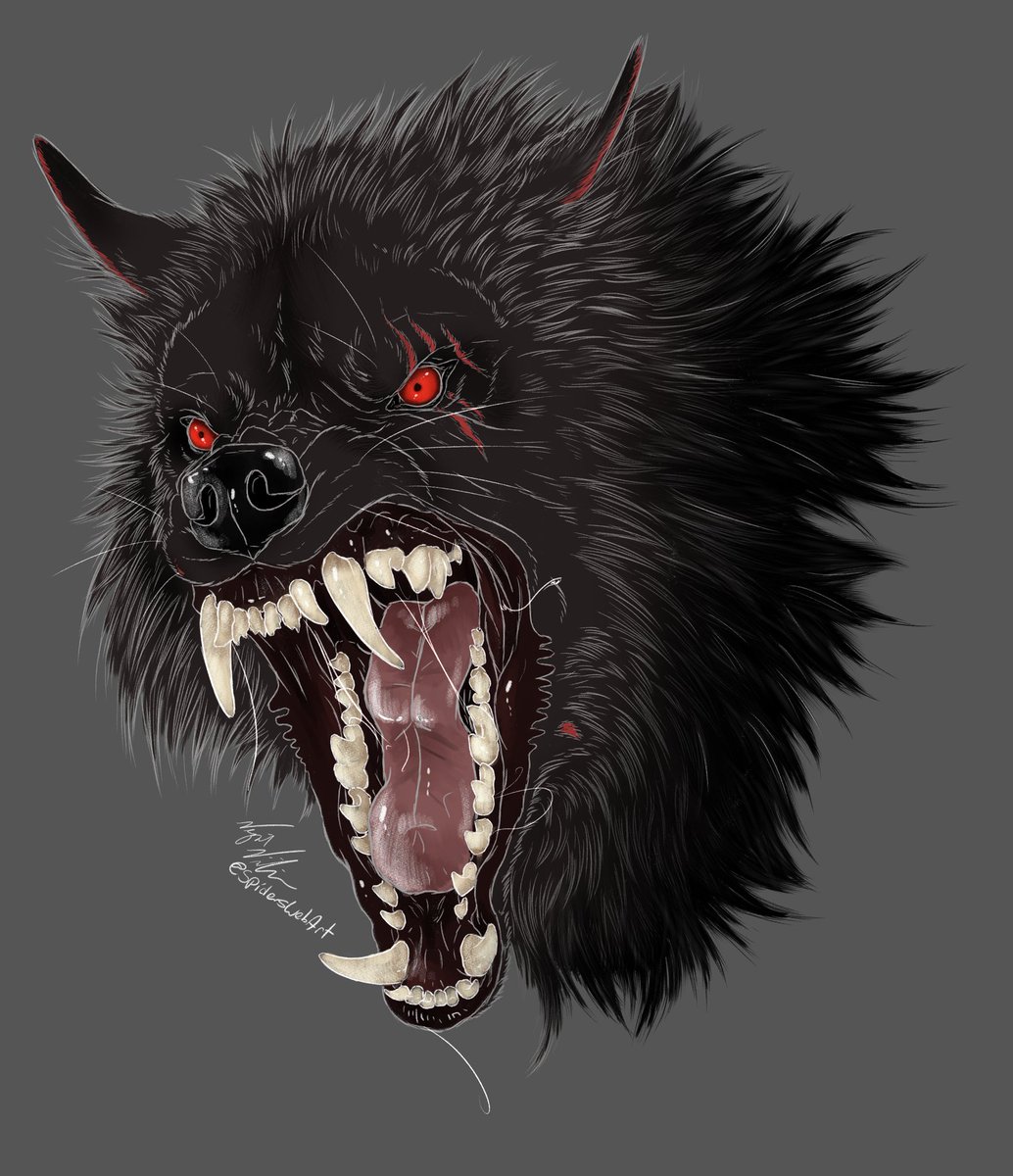 Open for various commission types!  Somewhat simple things only so far, I'm still recovering from surgery.

Ranges from bust sketch (with simple color) at $25 to full body lined and rendered at $75, ask about anything else!

MIGHT be open to lineless painted style, it depends lol