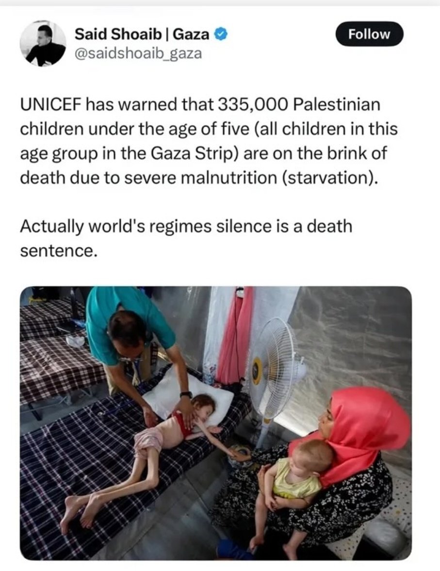 Focus on <a href="/KNEECAPCEOL/">KNEECAP</a> is a distraction from this horror show 💔
Please, someone save these. Children 💔
It feels horrendous that all we can do is post about this on social media.
