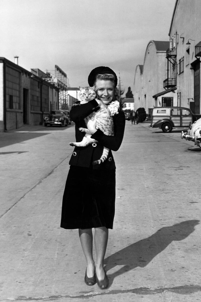 Priscilla Lane walking with feline co-star Thomas on the Warner Bros. studio lot during production of Arsenic and Old Lace (1944)