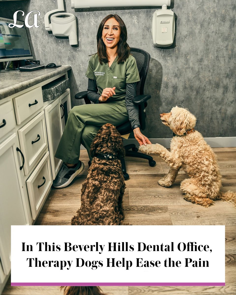 Beverly Hills dentist Dr. Mojdeh Shayestehfar found the ultimate cure for dental anxiety: her two labradoodles. Patients say cuddling with the pups beats sedation 🐾🦷

📸: Irvin Rivera <a href="/graphicsmetro/">Irvin Rivera 📸</a>

Read how pet therapy is transforming her practice: lamag.com/style/linden-d…