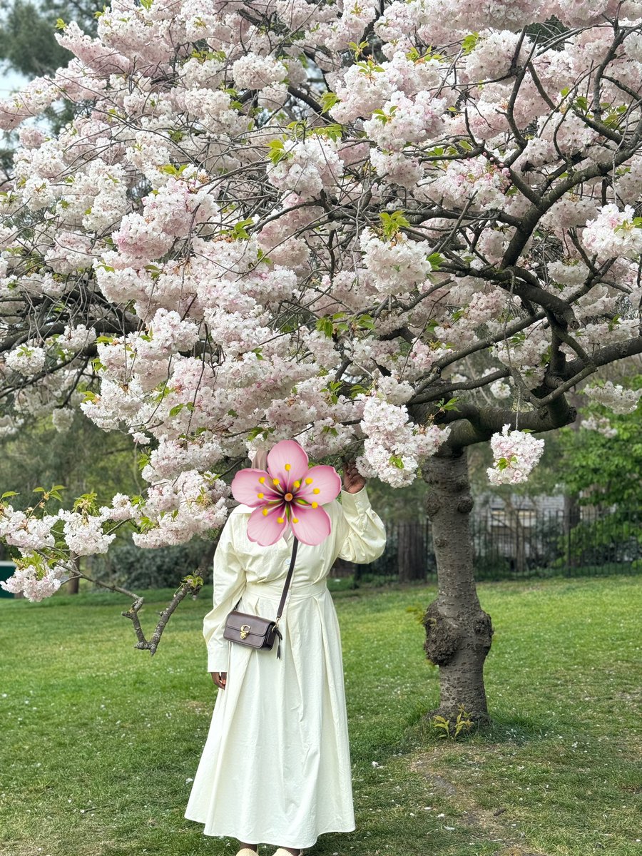 Halahaws's tweet photo. April 🤍 https://t.co/wCz9eqxha7