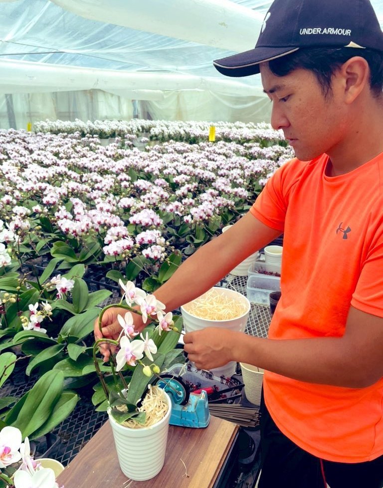 【大阪万博に展示！👏】
<a href="/morimizuki/">森水木のラン屋さん│(有)宮川洋蘭　広報</a>
お世話になった宮川洋蘭さん(熊本)の胡蝶蘭が大阪万博で展示されてます🙌
ぜひ見つけてくださいー！！
そして見つけたら教えてください！