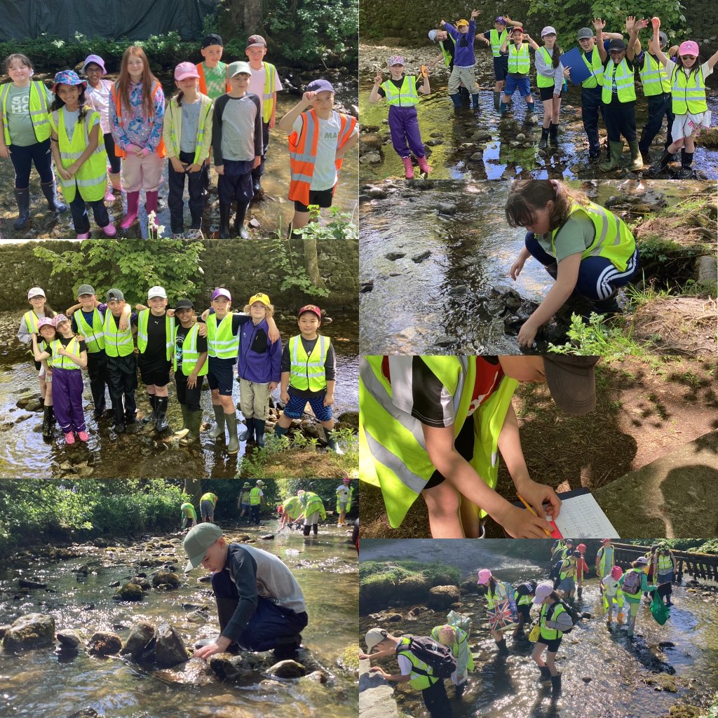 This morning, Group 1 enjoyed stream studies nearby the hostel. They used a co-operative growth mindset to measure the depth of the stream and the velocity of the water! 🌈
