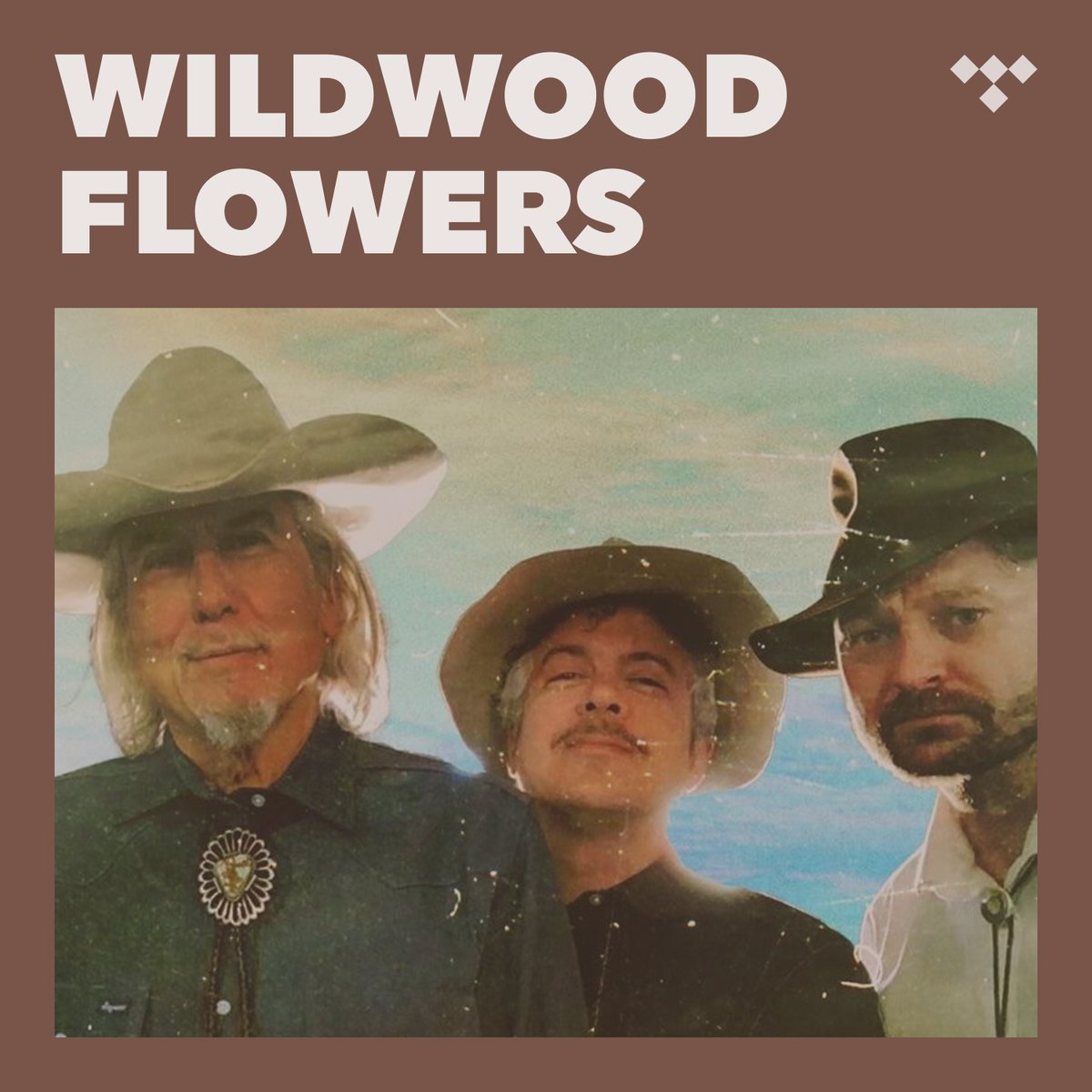 Check out Geckøs "Dance of the Gecko" now on <a href="/TIDAL/">TIDAL</a>'s Wildwood Flowers: Best New Folk &amp; Americana playlist: listen.tidal.com/playlist/28417…