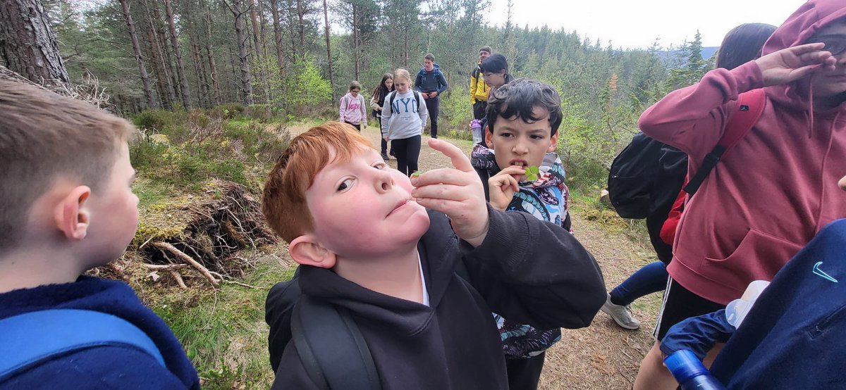 Longstone Primary School tweet media