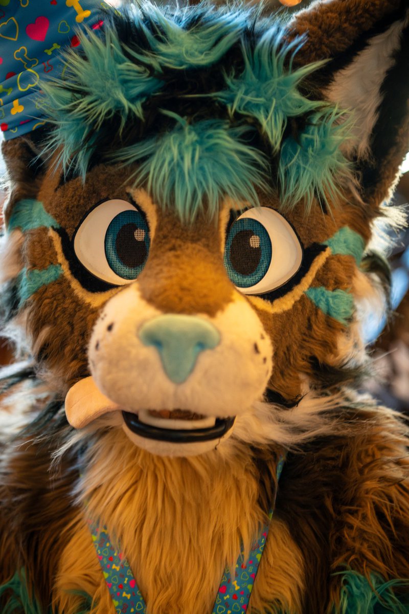 I am single for such a longe time now, it would be nice and rly funny if some dude want to walk with me together in the future👉👈

So someone want a smol silly gremling? 🤪🤣
I want much cuddles and snuggles😅🫣
#FursuitFriday #fursuit #FursuitEveryday #singlelife